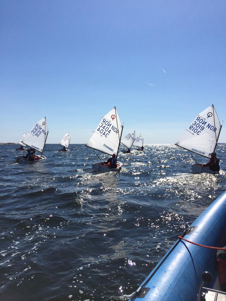 Bilde Pinseleir 2016