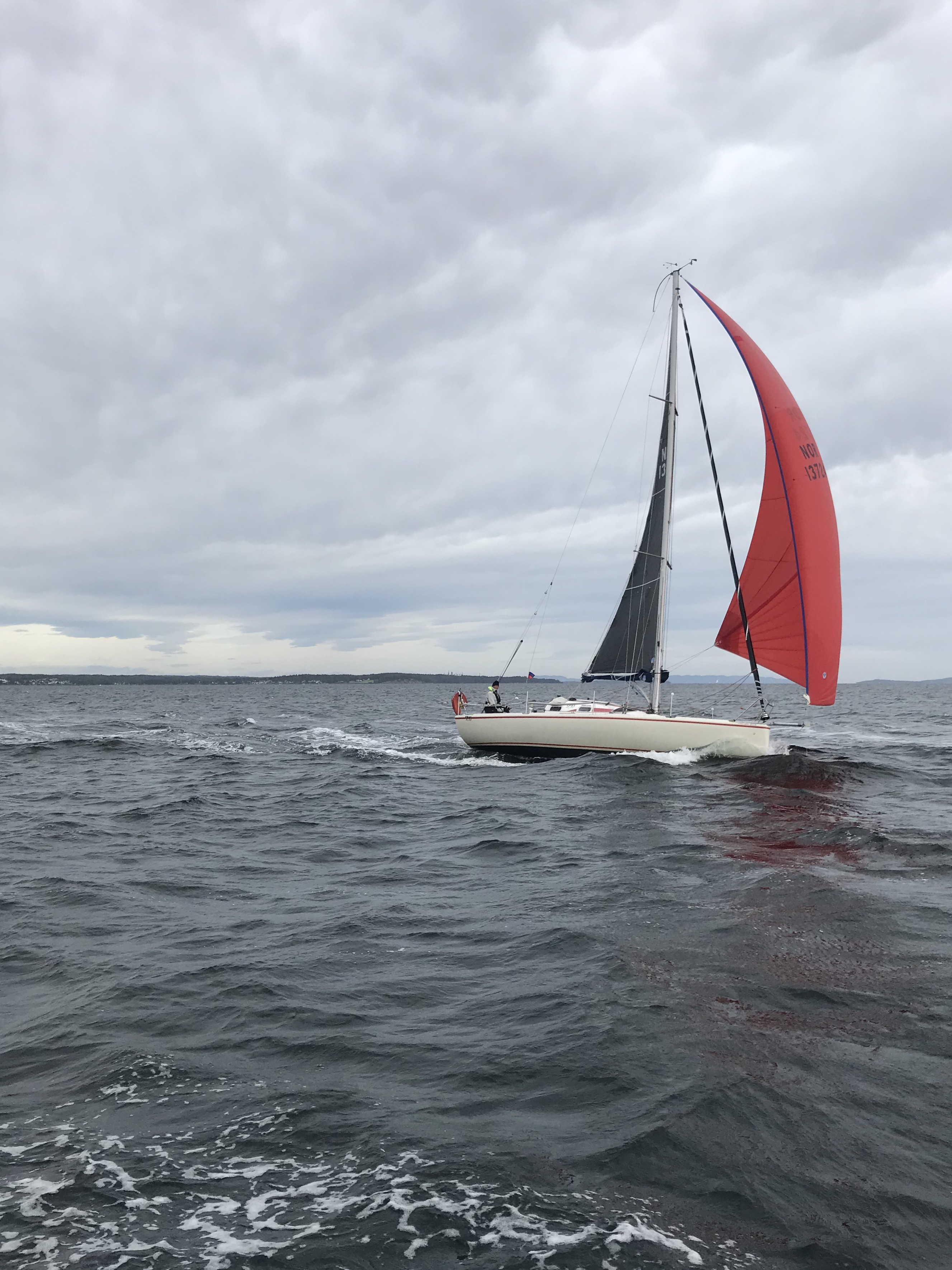 Vindtora i fint driv