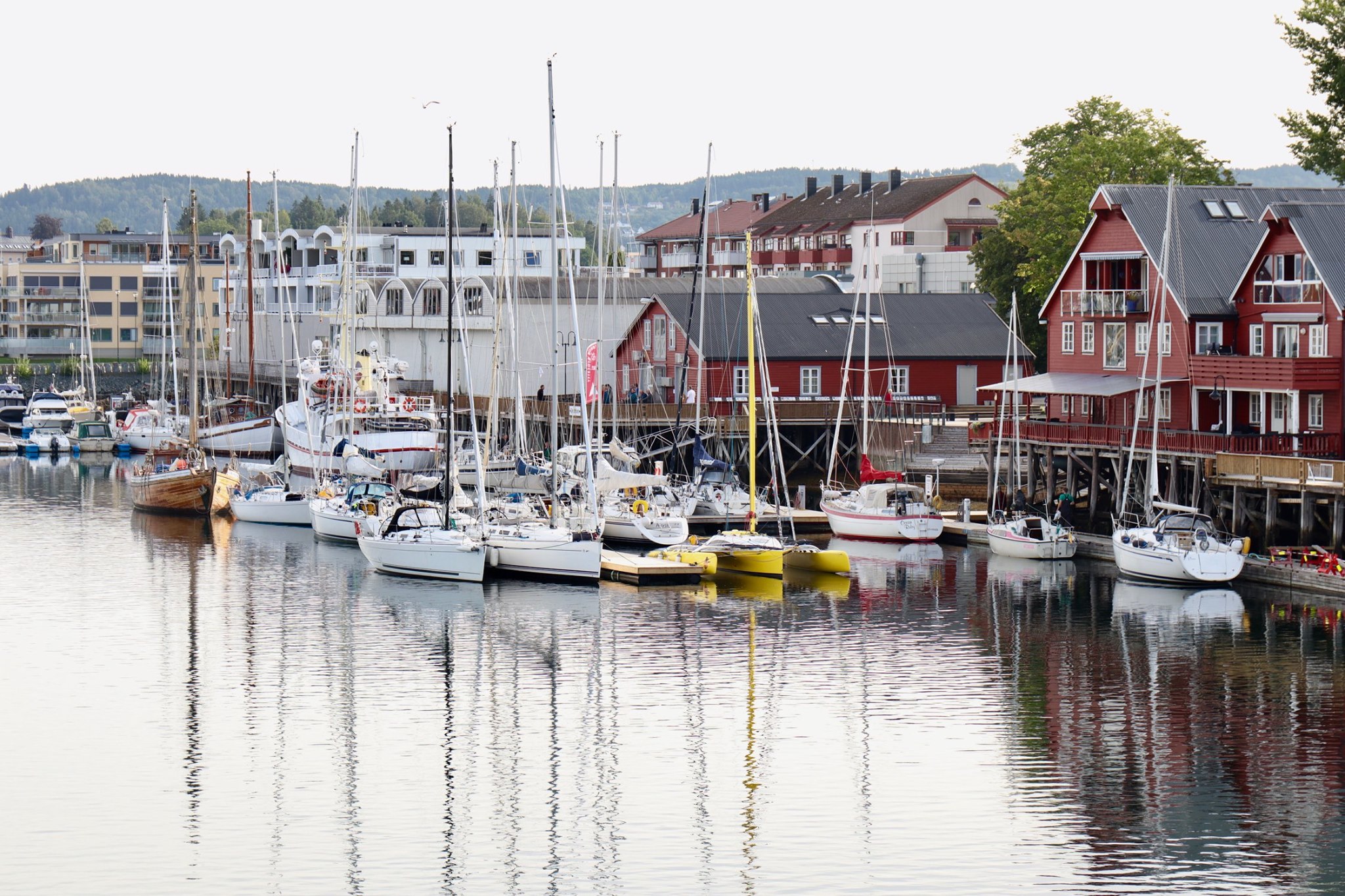 Ytterøya Rundt