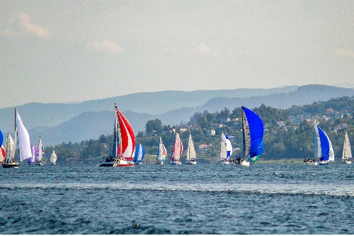 Regatta