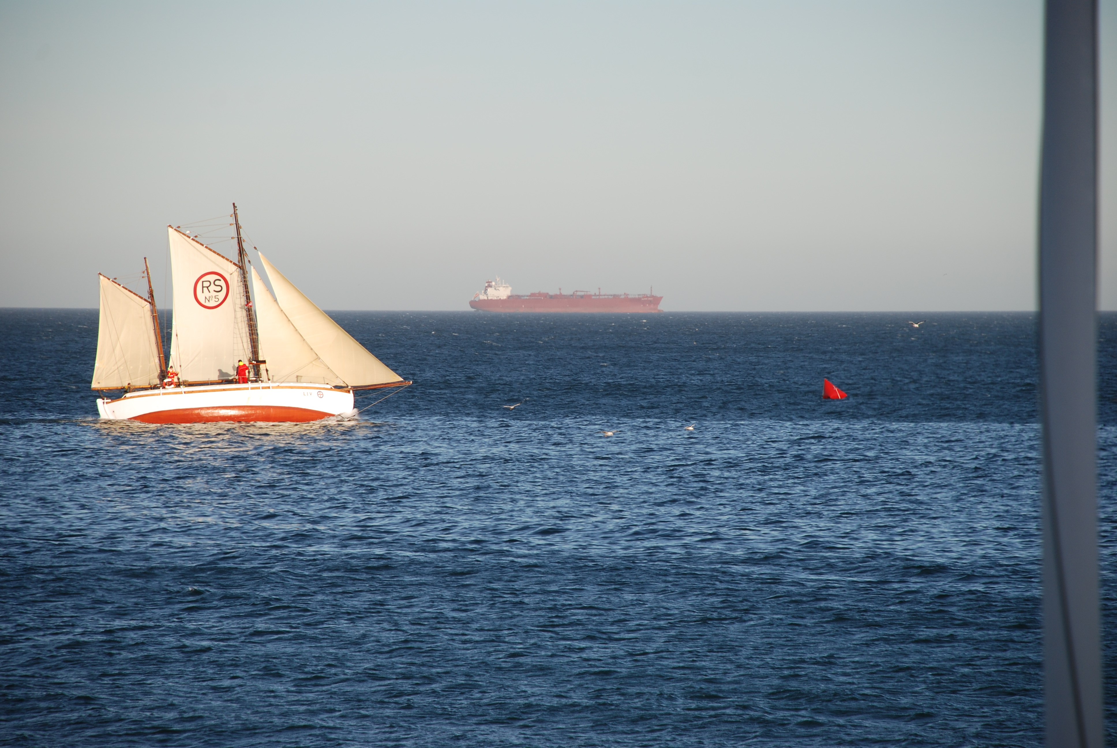 Vinner 1. LYS u/spinnaker, NOR-RS5 Liv Skipper: TERJE SMITH (Kongelig Norsk Seilforening)