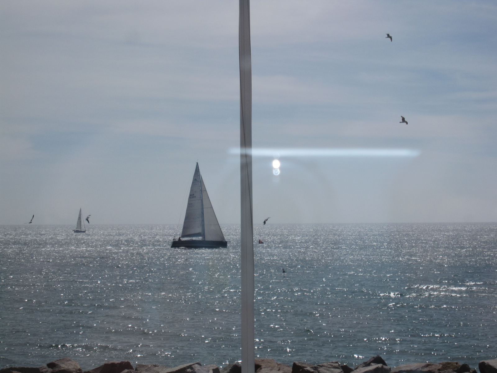 Vinner 2. LYS Shorthanded, NOR-12300 Yoga Skipper: Jon S. Storli (Asker Seilforening)