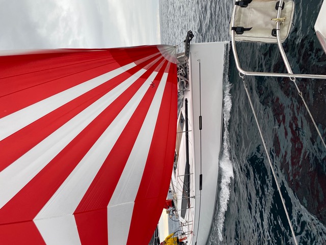 Ship Dip er påmeldt